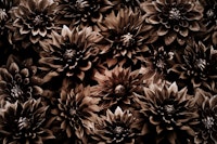 Brown Mystic Gothic Flower Night Garden ταπετσαρία