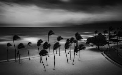 Τοιχογραφία