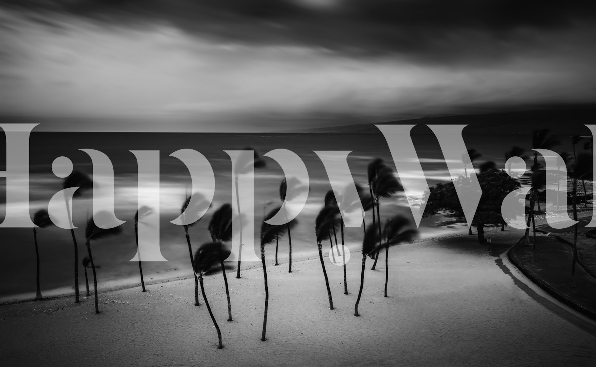 Black and white wallpaper featuring silhouetted palm trees against a stormy sea.