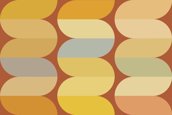 Mid-Century Sunshine Vibes Fall Color