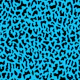 Leopardine Blue