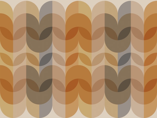 Japandi Rainbow Leaves