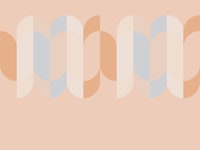 Warm Mid Century Rainbow Border papel de parede