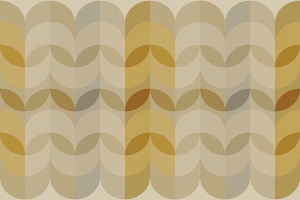 Boho Sunrise Leaves