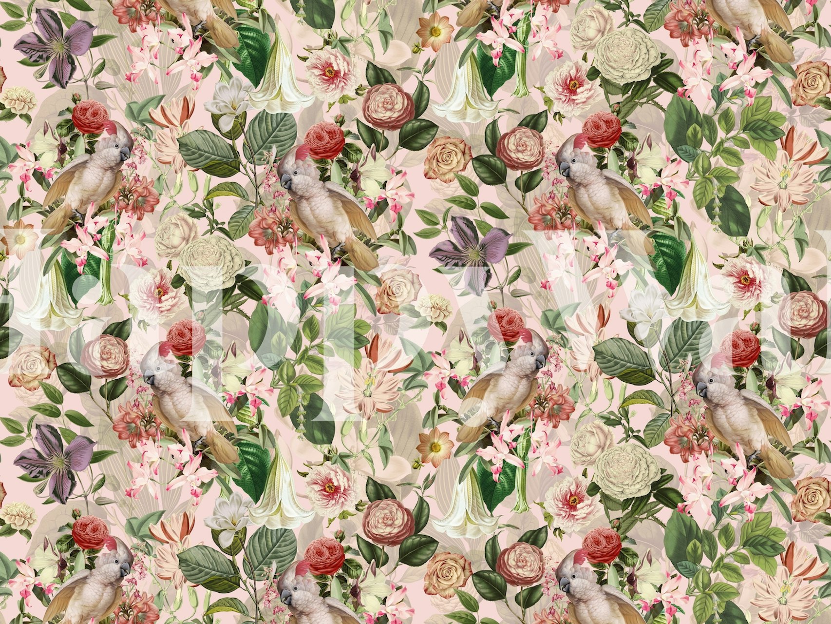 Tropical Cockatoo behang in een gestyleerde kamer