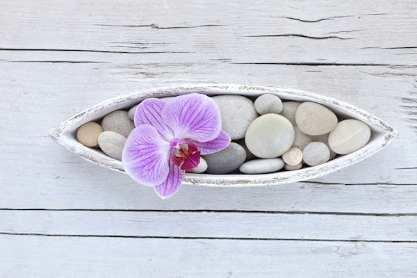 Zen Style Still Pebble And Orchic