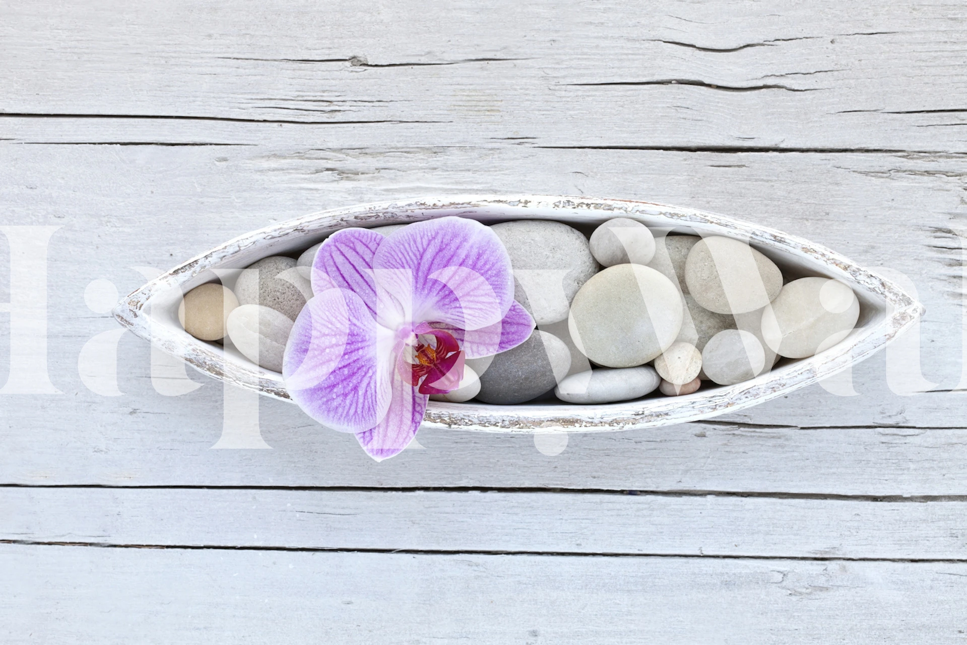 Zen-kivet ja orkidea-seinämaalaus puisella taustalla
