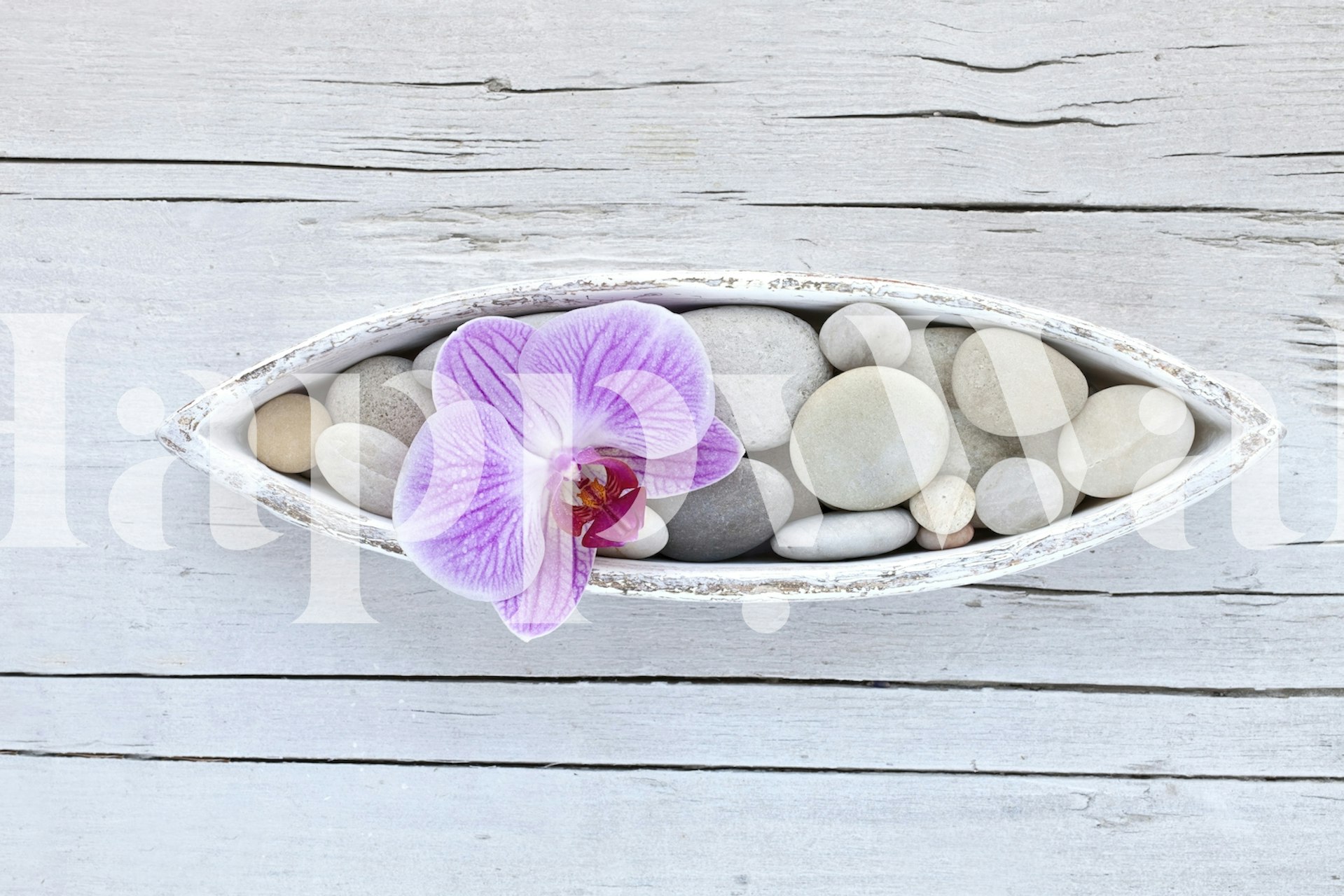 Zen småstein og orkide veggmaleri på en trebakgrunn