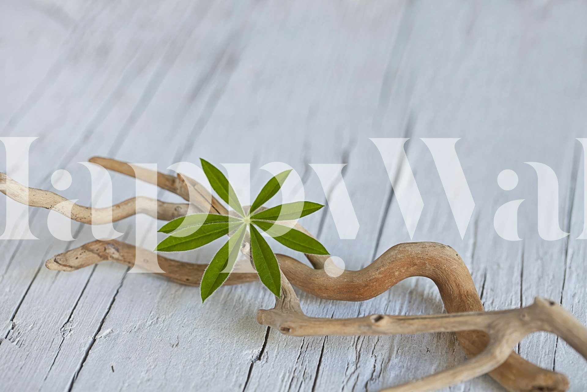 Zen style wall mural with a still twig and leaf on a neutral background
