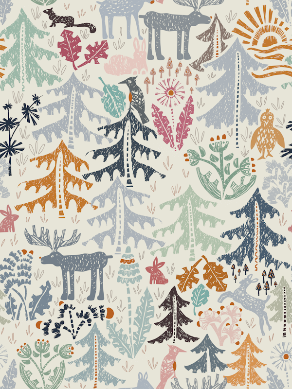 Black Forest Kids Adventure