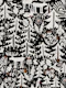 Black Forest black and white