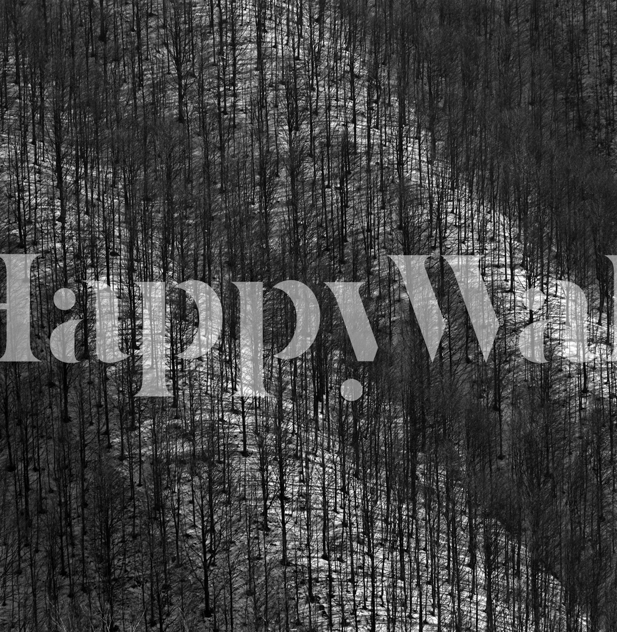 Black and white wallpaper featuring abstract tree patterns in a modern style.