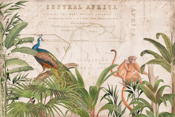 Africa Vintage Wildlife