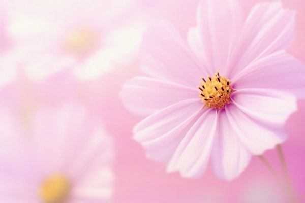 Beautiful Summer Day