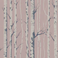 Winter Birch Forest wallpaper