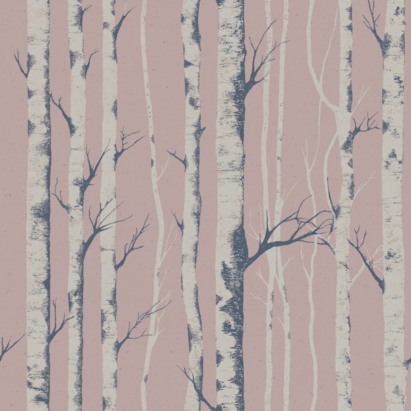 Winter Birch Forest