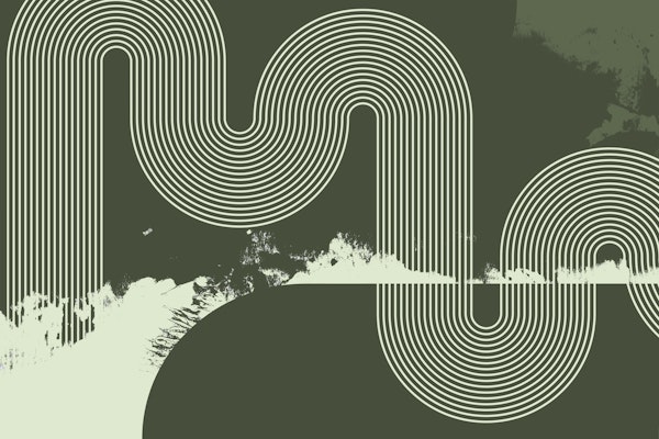 Mid Century Modern Curvy Lines Green