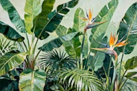 Large Jungle Flowers tapetit