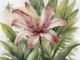 Moody Exotic Dream Bloom