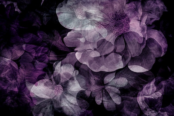Moody Exotic Dream Bloom