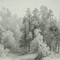 Enchanted Misty Woods wallpaper