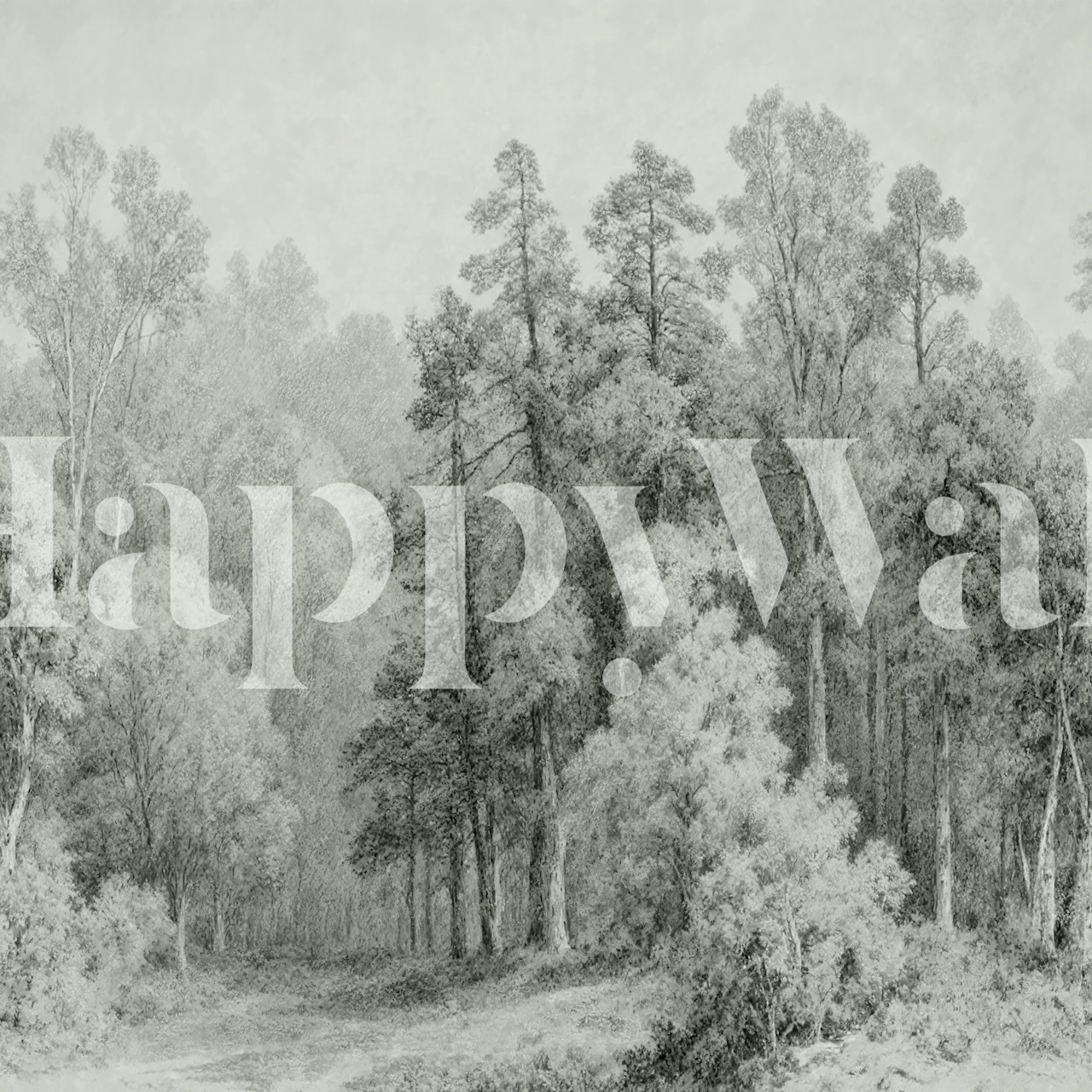 Misty forest landscape with evergreen trees and fog wallpaper