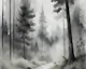 Misty Moody Forest Black White