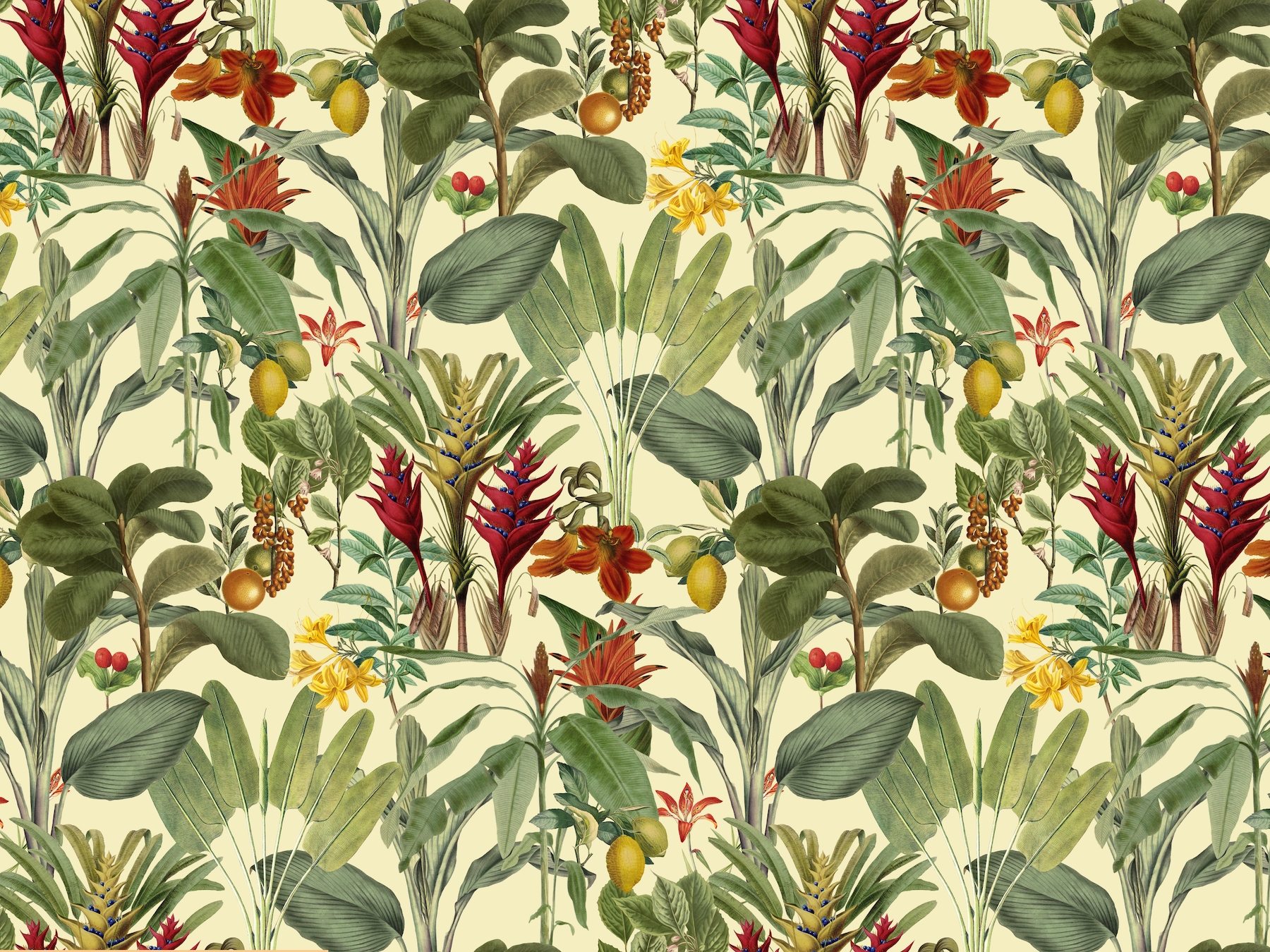 Tropical Vintage Jungle Vibe wallpaper - Free shipping | Happywall