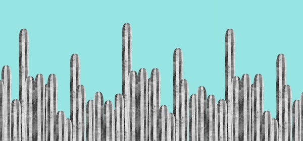Cactus landscape 1