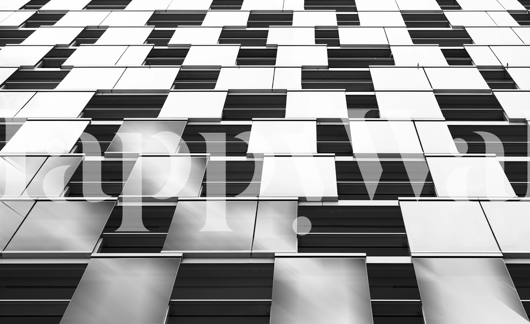 3D illusion black and white geometric wall mural