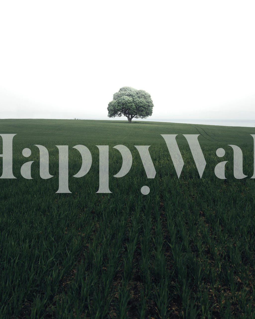 Carta da parati Lonely oak tree in una stanza