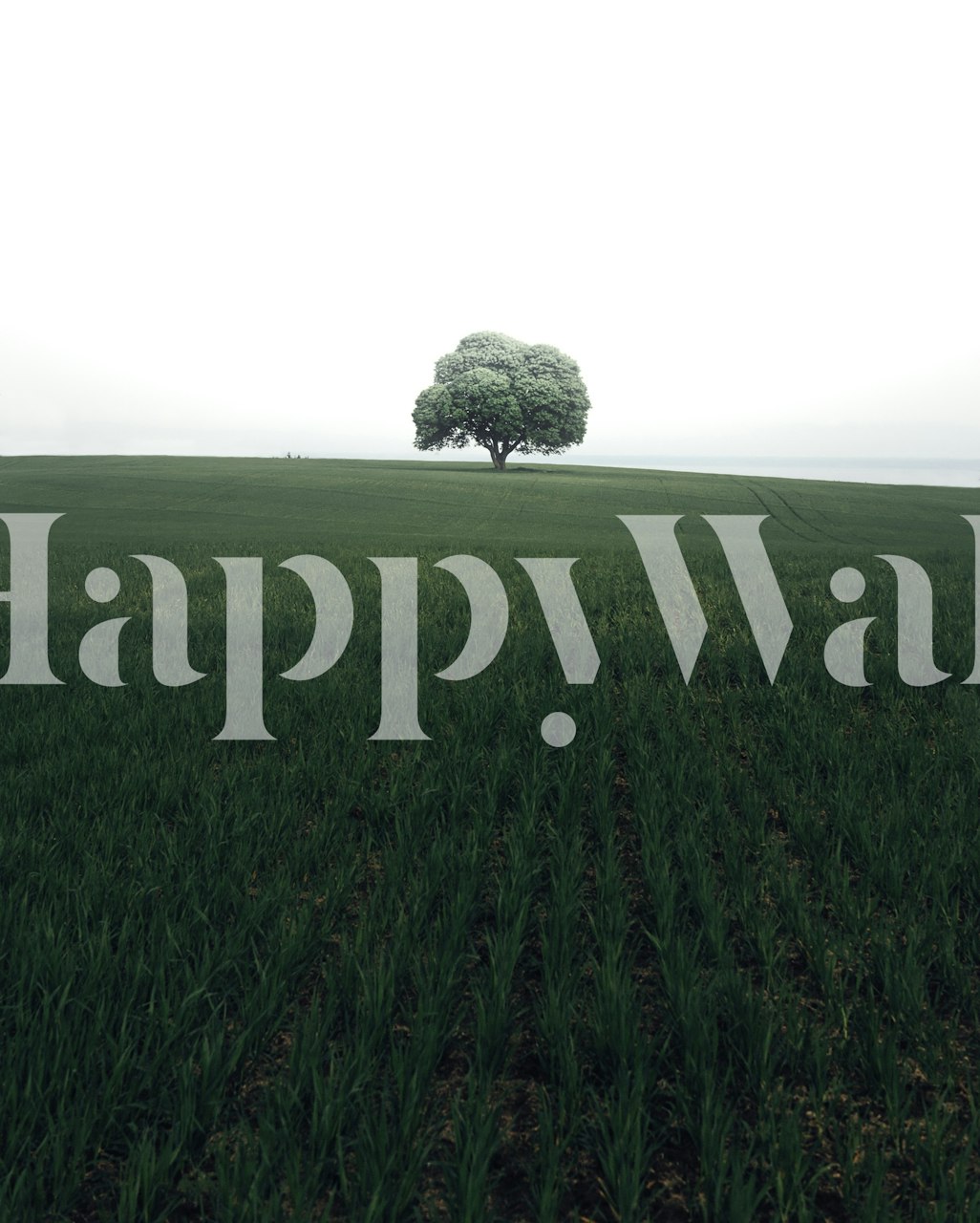 Papel de parede Lonely oak tree em um quarto