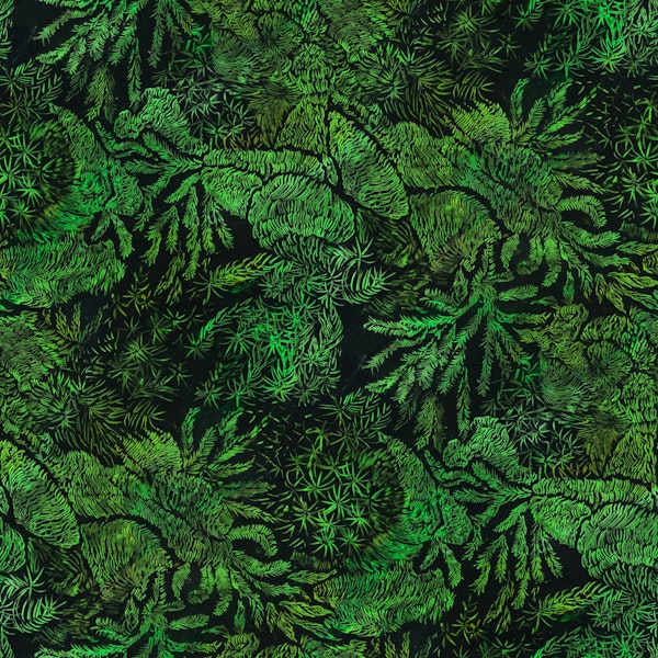 Moss green forest floor
