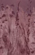 Moody Tropical Jungle Magenta