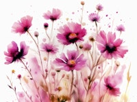 Magenta Wildflowers wallpaper