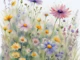 Sunny Summer Field