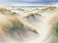 Wild Summer Grass tapeta