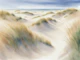 Wild Summer Grass