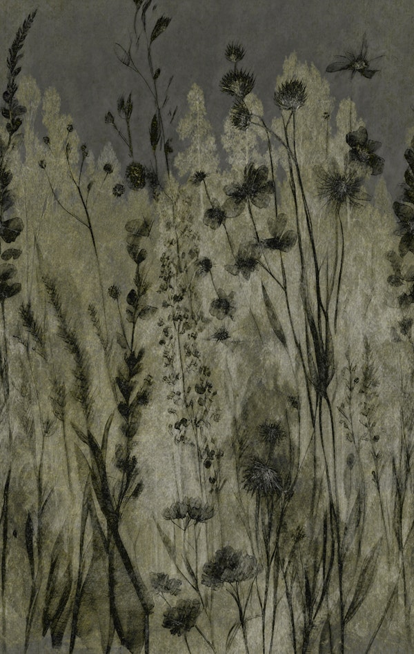 Moody Summer Grass