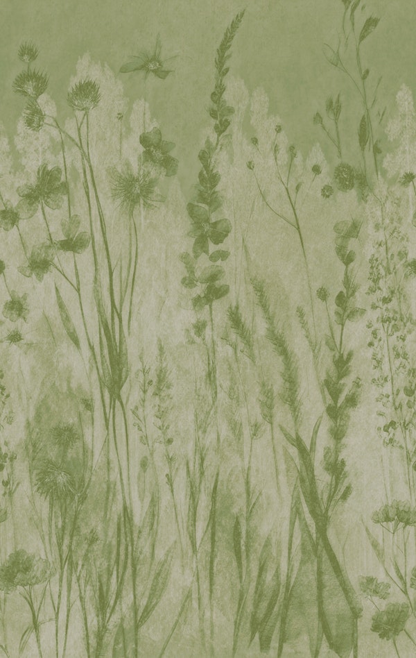 Moody Summer Grass