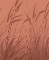 Moody Grass papel de parede