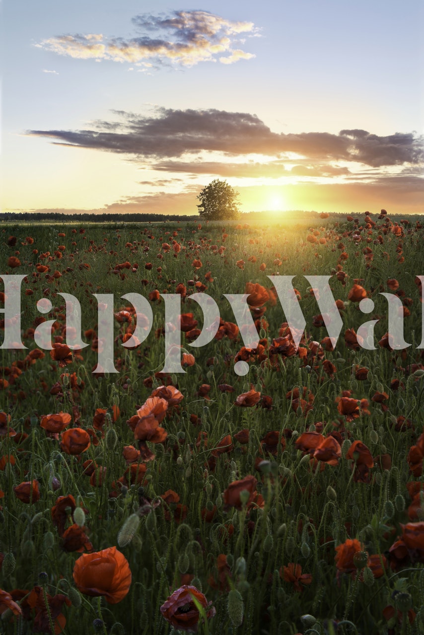 Poppy fields of Sweden wallpaper in a room