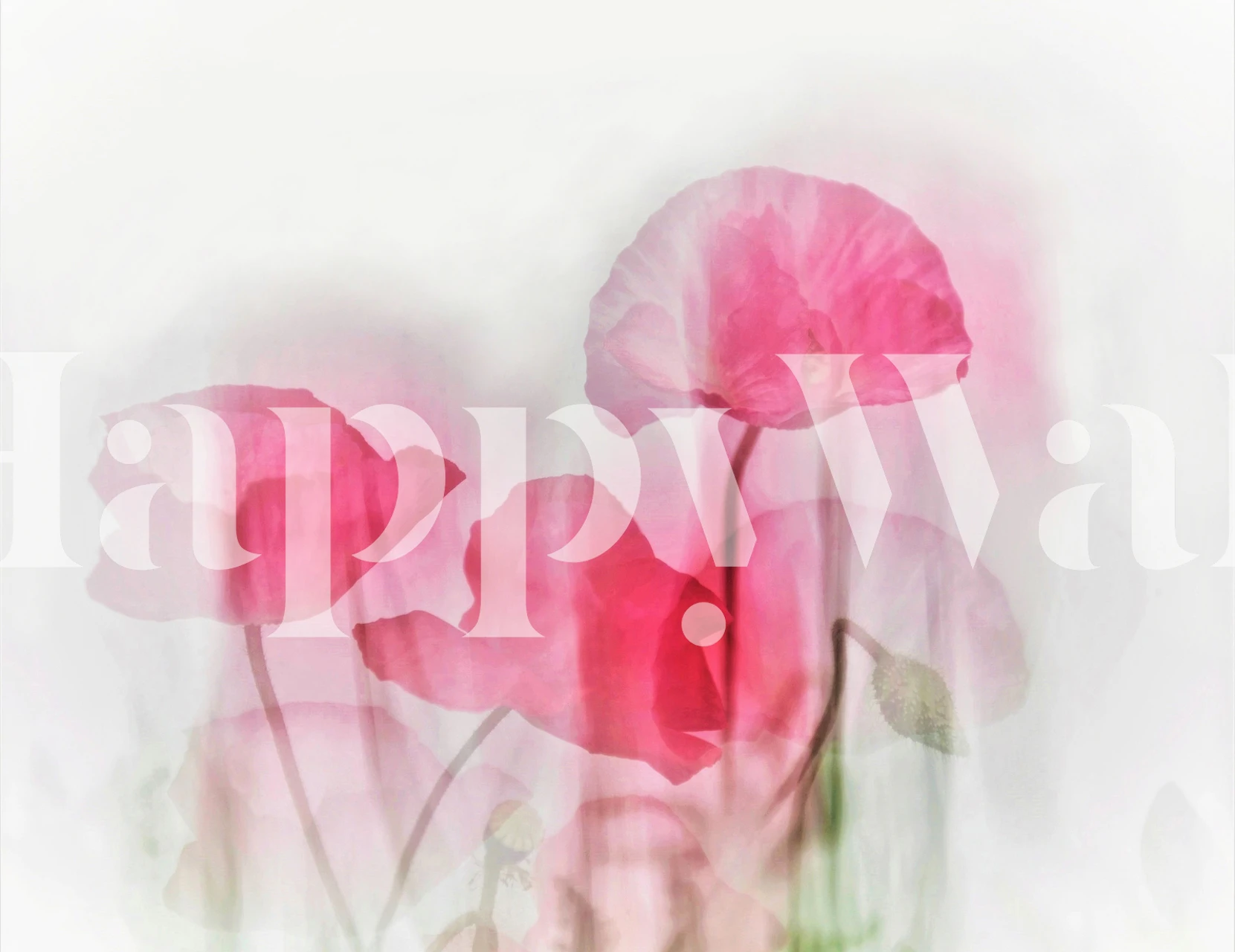 Pink flowers with a soft background floral wallpaper