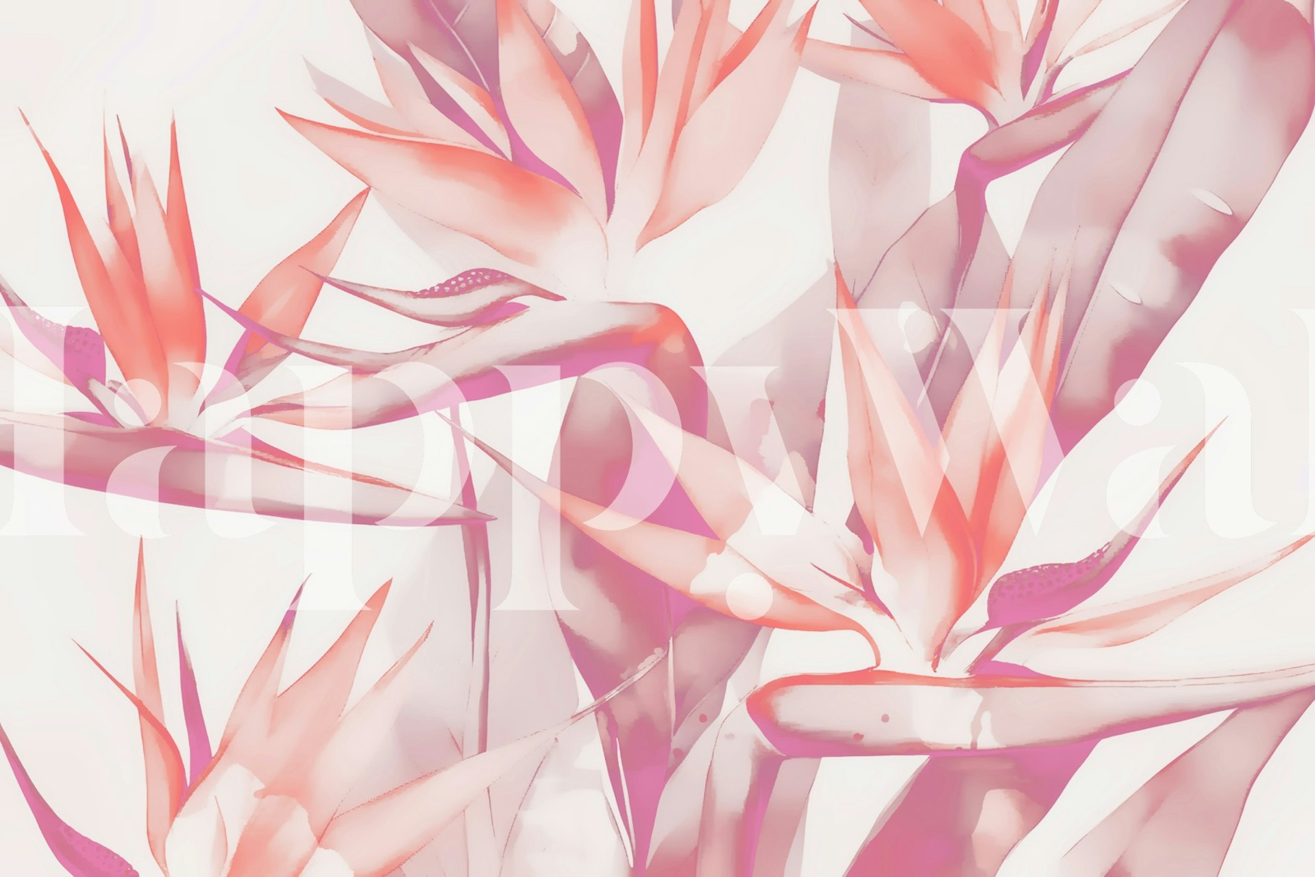 Abstract Bird of Paradise papier peint aquarelle