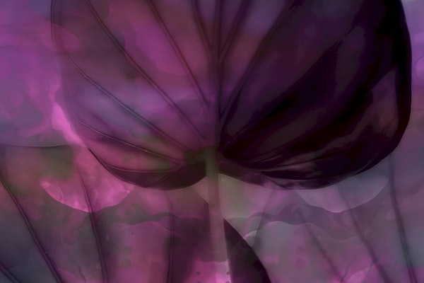 Moody Leaf Abstract Floral Fluid Art