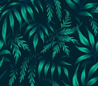 Fernleaf Aralia - Dark Emerald tapete