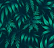 Fernleaf Aralia - Dark Emerald