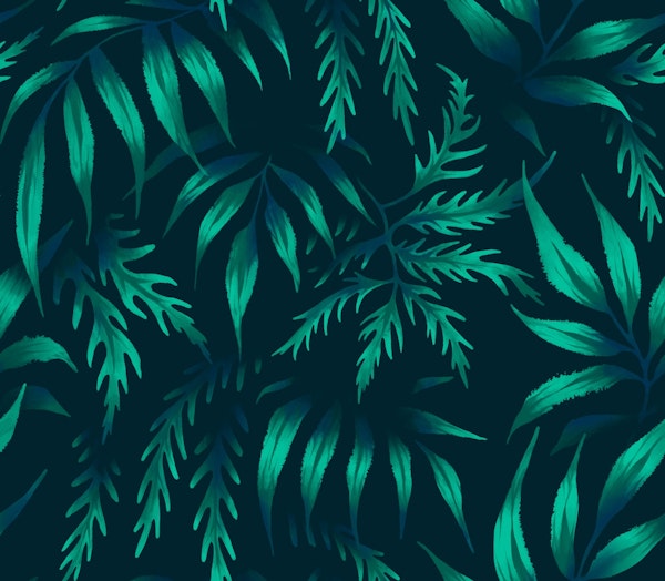 Fernleaf Aralia - Dark Emerald