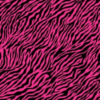 Wallpaper Zebra 2 papiers peint