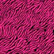 Wallpaper Zebra 2